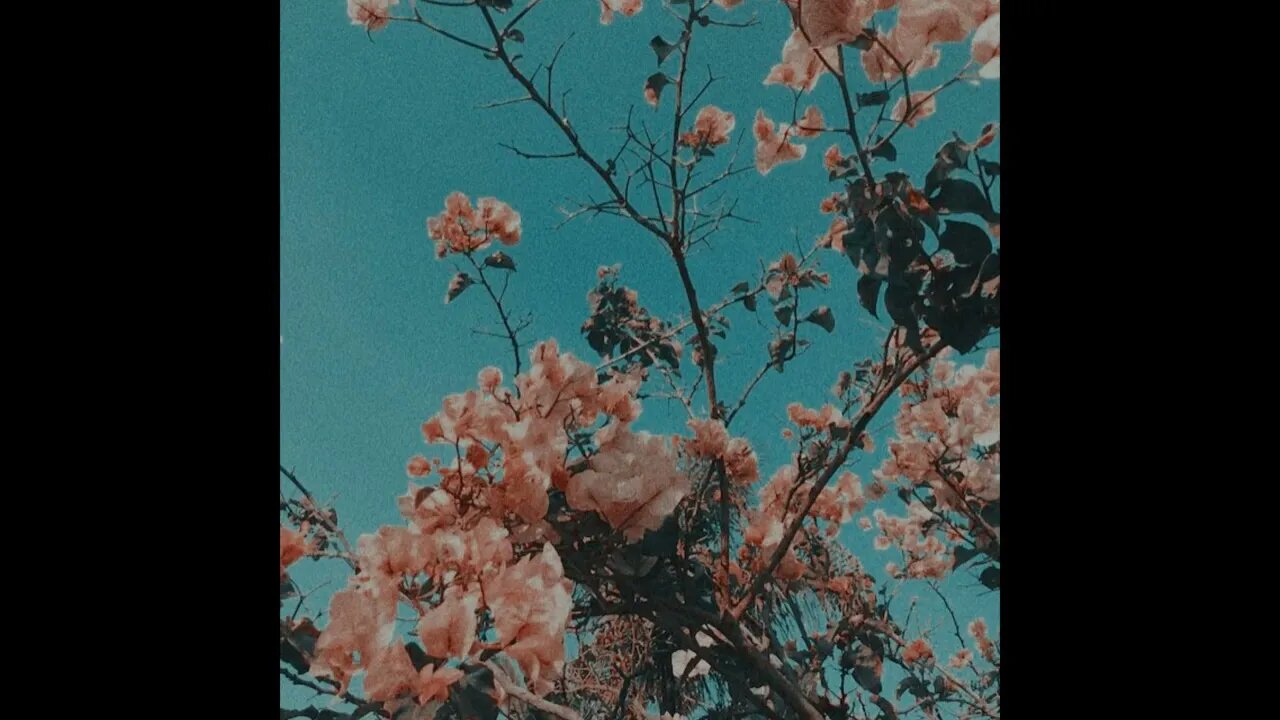 Trillyway Beats - W O N D E R L a N D (Full Album)