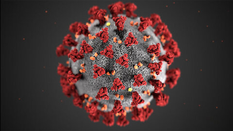 THE TRUTH ABOUT COVID-19: WILL YOU LISTEN TO A DOCTOR?