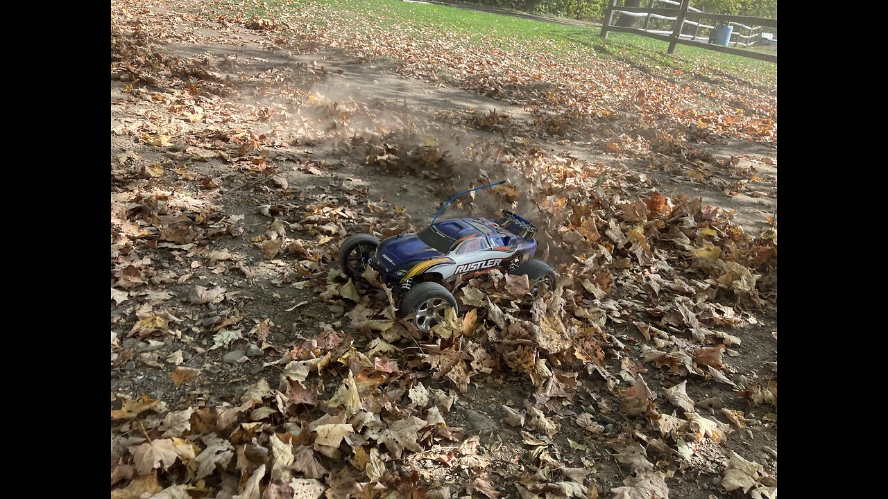 Traxxas Rustler plays in the leaves