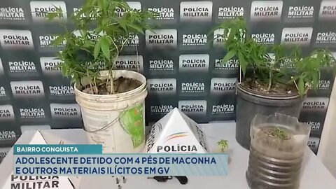 Bairro Conquista: Adolescente detido com 4 Pés de Maconha e Outros Materiais Ilícitos em GV.