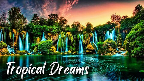 🌴 Tropical Dreams Unleashed! LiQWYD Dance & Electronic 🎶 [FreeRoyaltyBGM] 💥 Dive into Music Paradise