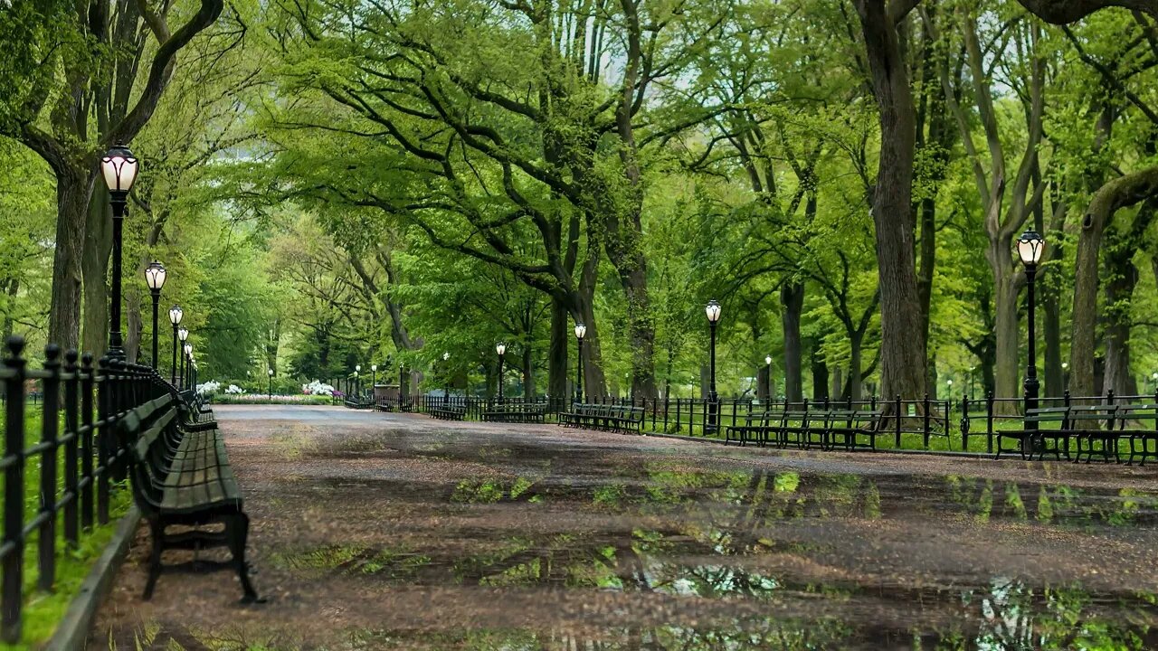 Rain in the puddles of the Mall walkway in Central Park, New York City.