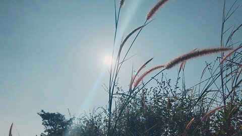blue sky view amazing places #wonderfulview #stunningviews #autumnbreak #greatview #beautifulviews