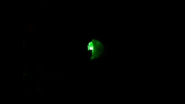 Luminous Snails