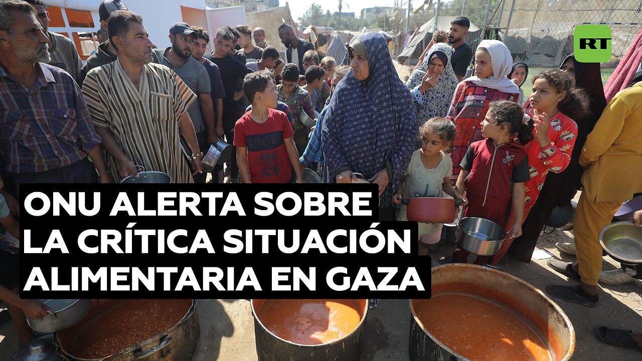 ONU alerta sobre la crítica situación alimentaria en Gaza