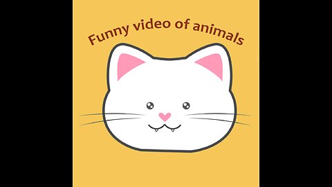 Funny cats