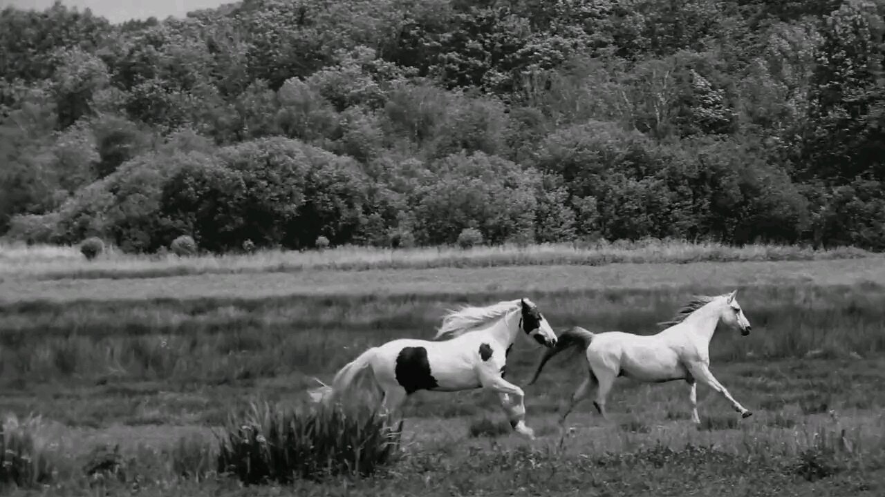 horse riding