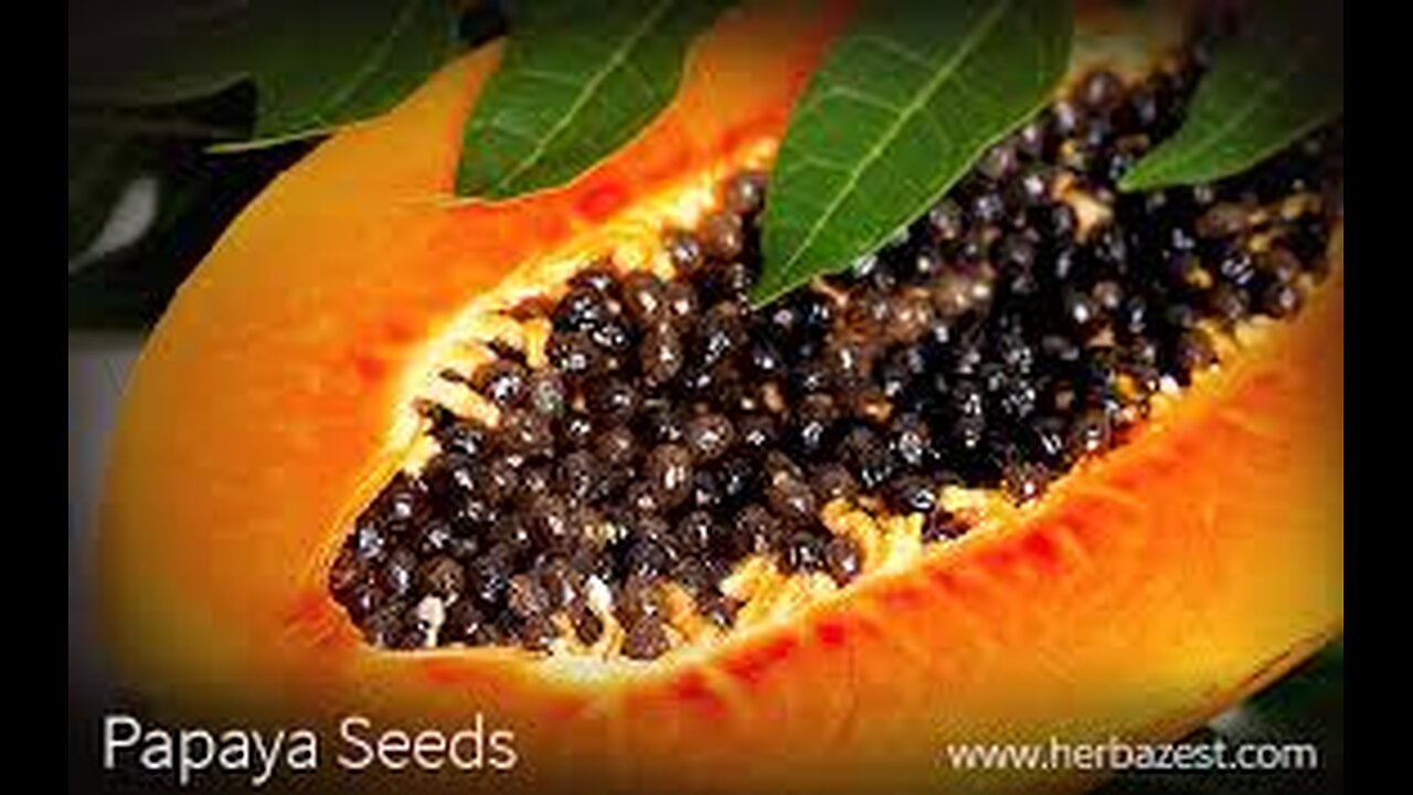 19 Amazing PAPAYA SEEDS Health Benefits For Liver, Gut & Kidneys | Cleanse With Papaya Seeds