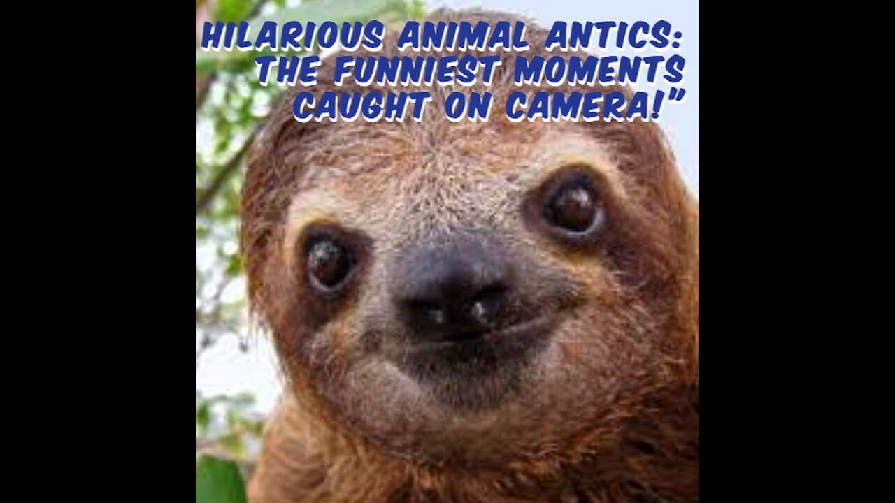 "Hilarious Animal Antics: The Funniest Moments Caught on Camera!"