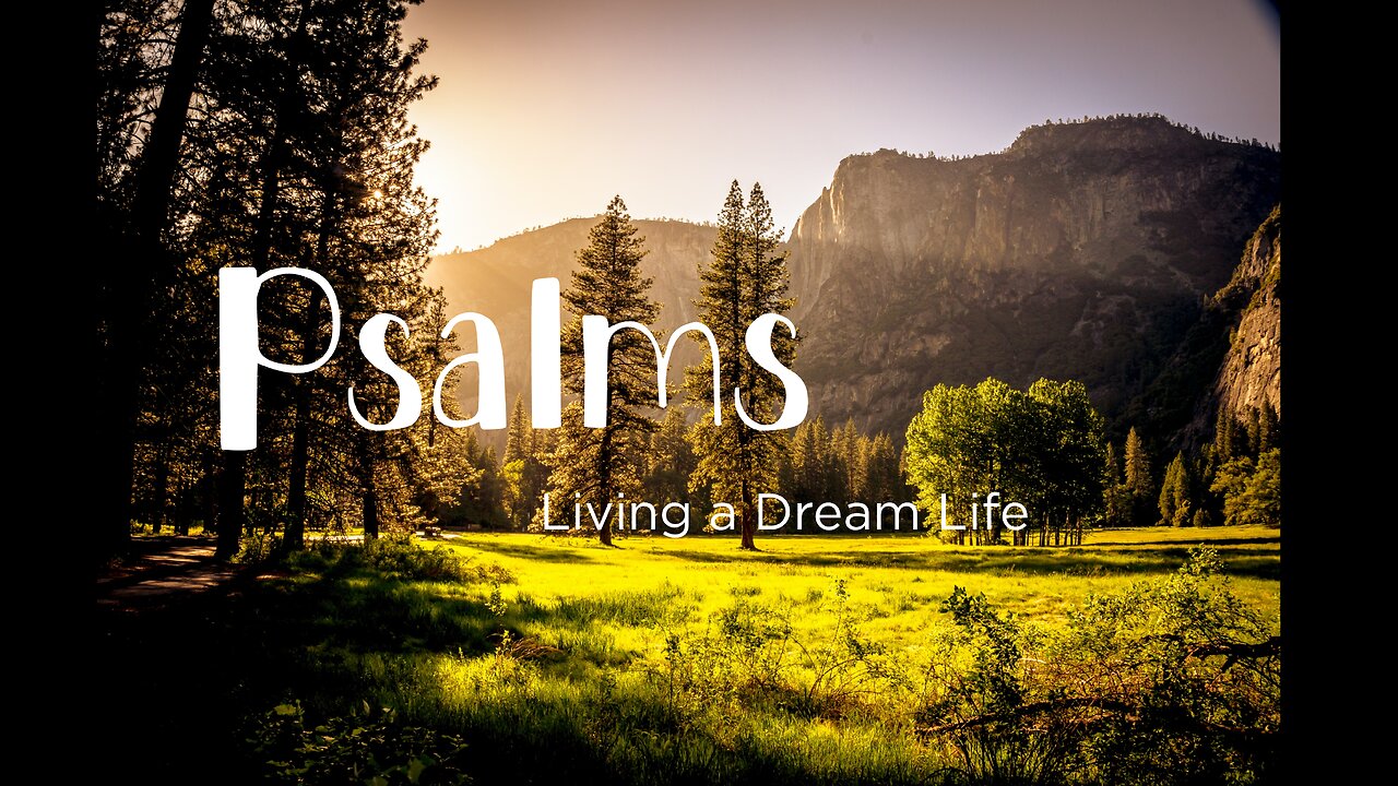 Living a Dream Life