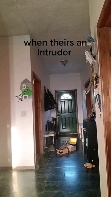 funny harry potter short