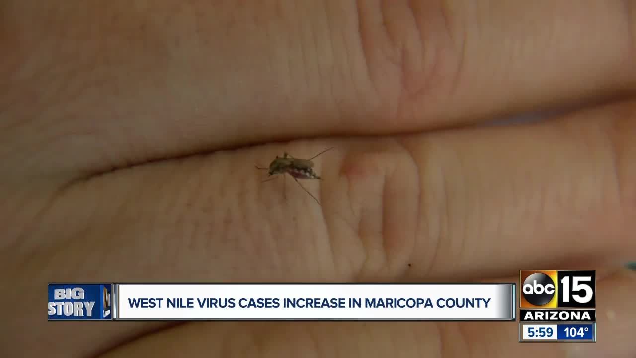 West Nile cases increase in Maricopa County