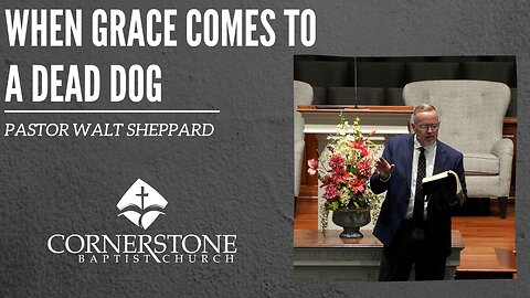 When Grace Comes To A Dead Dog--Sun Am--Aug 20, 2023