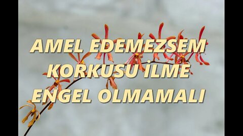 #menkıbe EN GÜZEL MENKIBELERDEN BİR BÖLÜM / "AMEL EDEMEZSEM KORKUSU İLME ENGEL OLMAMALI"