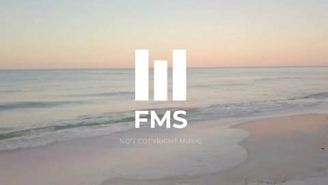 FMS - Free Non Copyright EDM Music #027