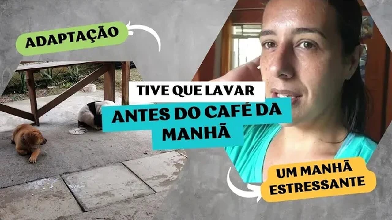 A casa amanheceu muito suja- Tive que lavar a cozinha antes do café- Nova adaptação do filhote