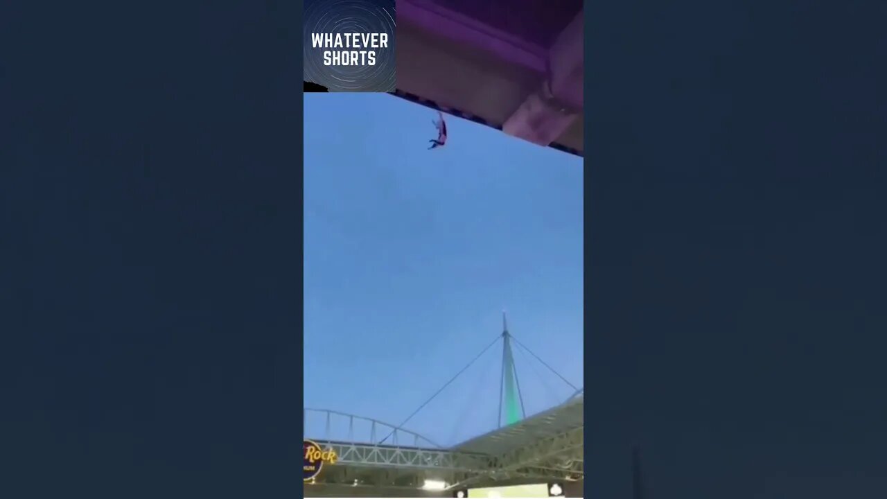 Cat is about to fall off the roof and the crowd scramble to save it #shorts #cats #animals #rescue