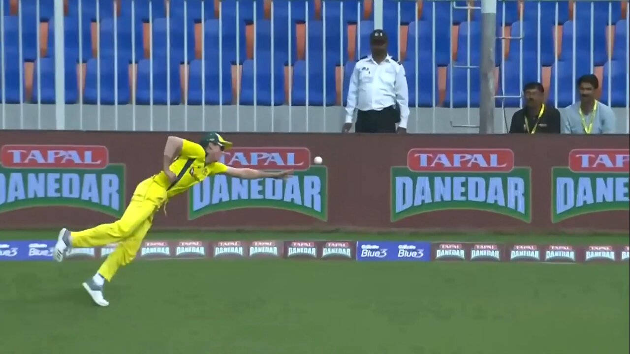 Richardson | Austrailian Fielder Got Injure while trying to save the Boundary