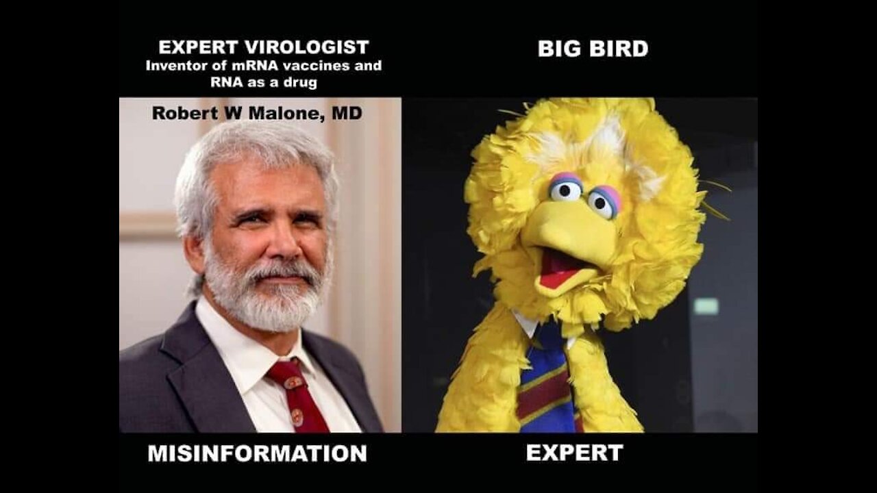 Inventor of mRNA vaccines and RNA as a drug