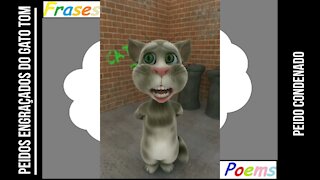 Peidos engraçados do gato tom: Peido condenado, irá ficar preso por muitos anos! [Frases e Poemas]