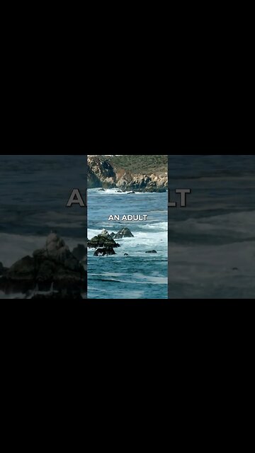 Listen to full meditations at Women's meditation network channel #meditation #sleep #shorts