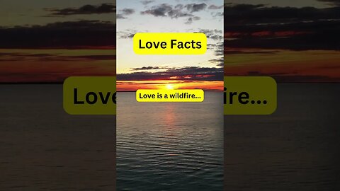 Love Fact! is it true? #lovefacts #shorts