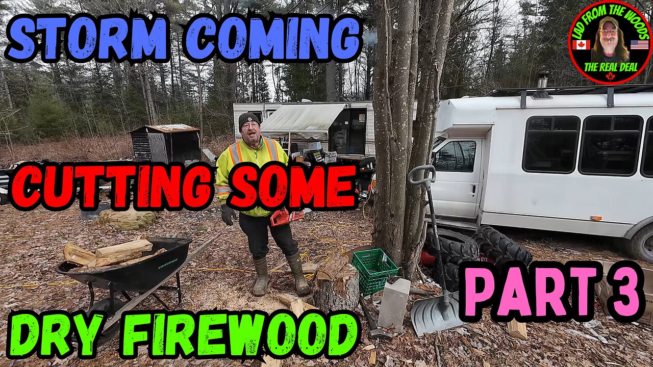 03-20-24 | Storm Coming Cutting Some DRY Firewood Pt.3