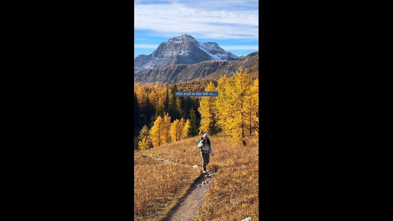 team fall or summer? I can't choose😭 #canadianrockies #banff #hiking #hikingtrails #fallhikes