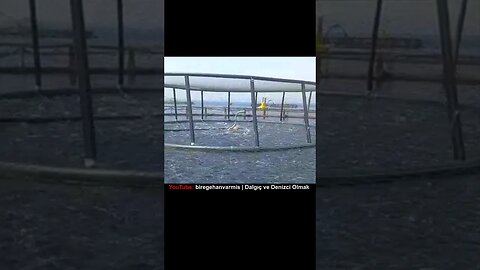 Balıklar için her gün binlerce dolar denize dökülüyor.🤑 Part I #shorts #balıkavı #balıkçılık #deniz