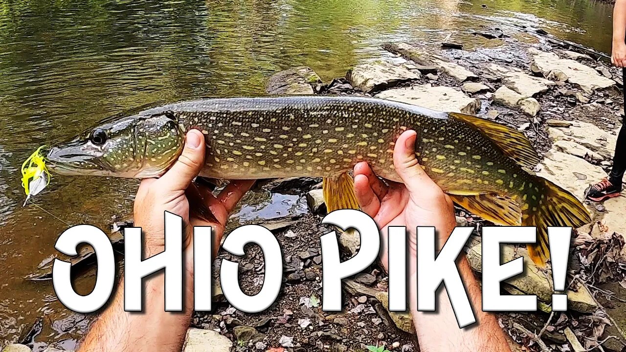 TWO pb pike in ONE creek - NorthEast Ohio roadtrip!