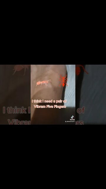 Trying to stay #barefoot in #Texas I need some @Vibram FiveFingers #ouch #ants