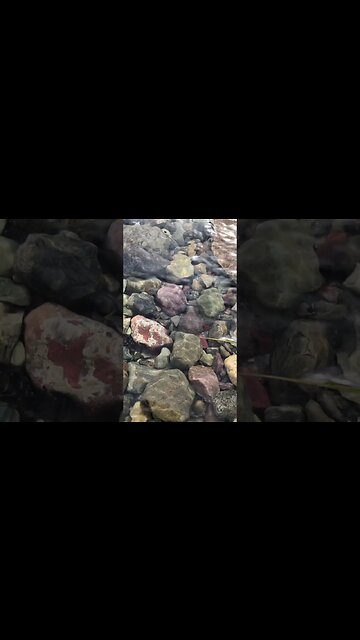 Promised land of the rugged kind