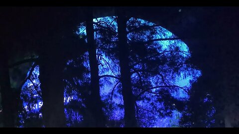 Sphere in the Woods