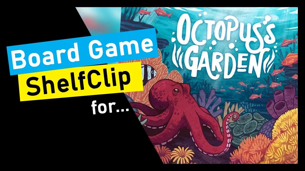 🌱ShelfClips: Octopus's Garden (Short Preview)