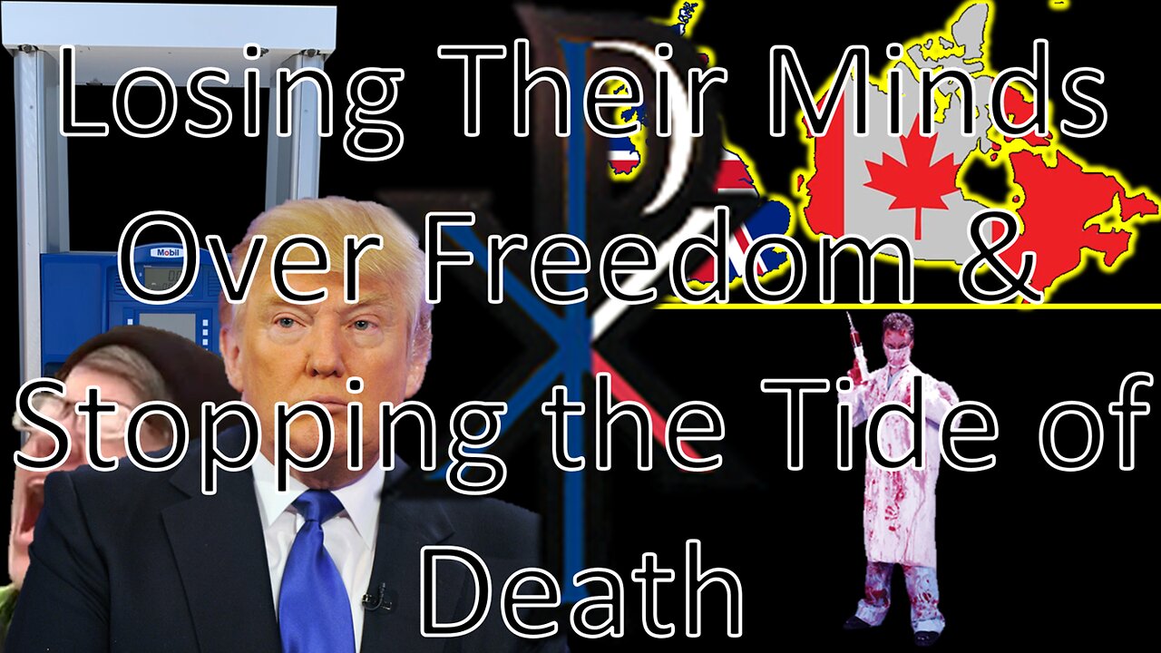 Losing Their Minds Over Freedom & Stopping the Tide of Death | News by Paulson (11/16/24)