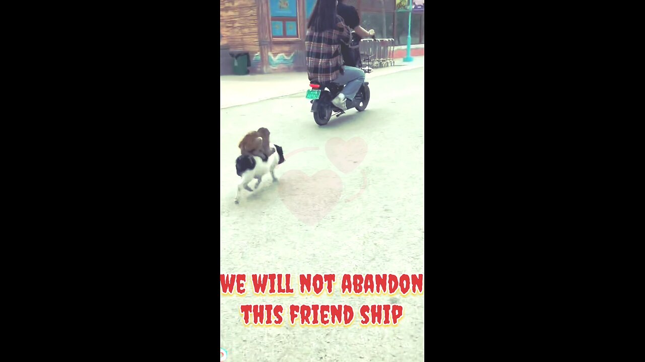 funny friend ship