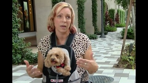 Woman credits medical service dog with saving life