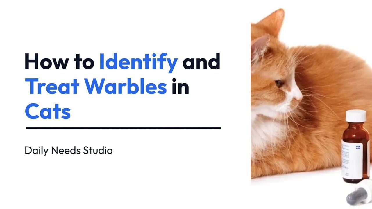 11 Steps to Identify and Treat Warbles in Cats | Daily Needs Studio