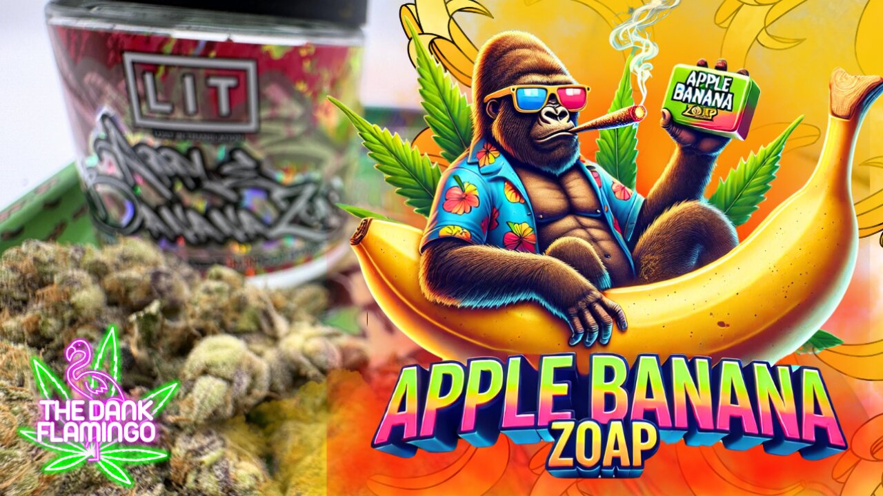 Trying Apple Banana Soap THCa from Lit Farms! The Dank Flamingo Cannabis Review!!