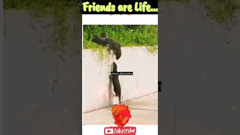 A Good Friend??? #shorts #youtubeshorts #infacto_motivation #motivationalshorts #friendship #friends