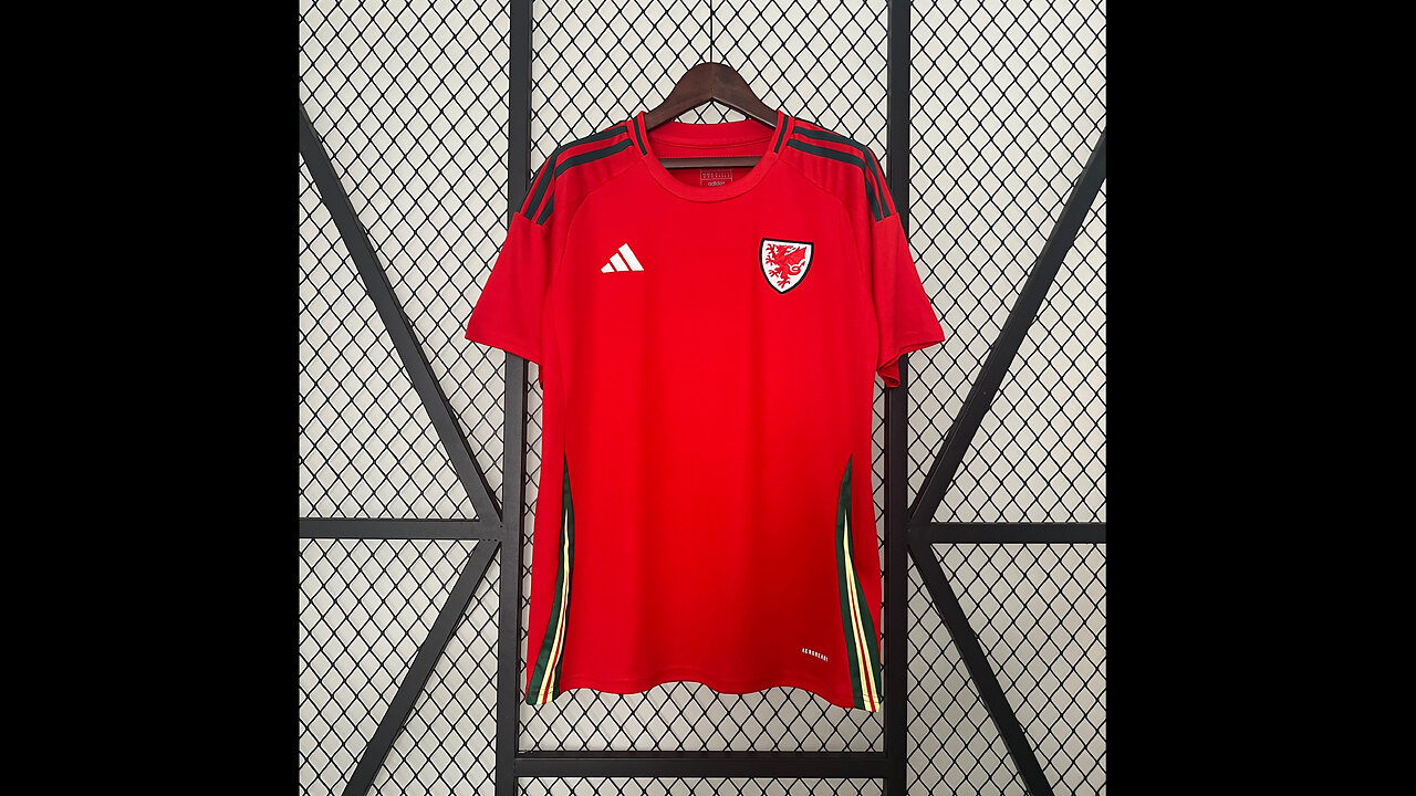 👉🏻⚽️2024 Wales Home Adult Jersey