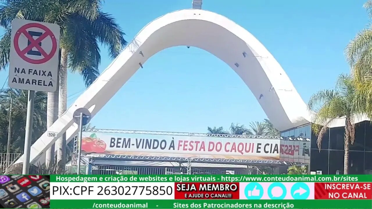 blog do dia festa do caqui + pedal ... mais de 1 hora de vídeo :-) full video