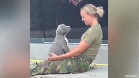 Laugh hard NOW with Funniest Moments Dog and their Human!