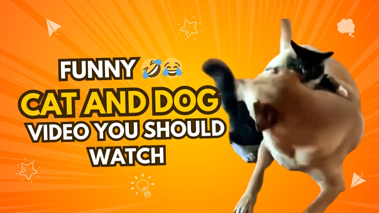 Funny Frenzy: Dogs & Cats Unleashed!