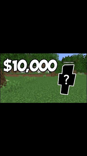 MINECRAFT / The Most Expensive Account #Shorts14