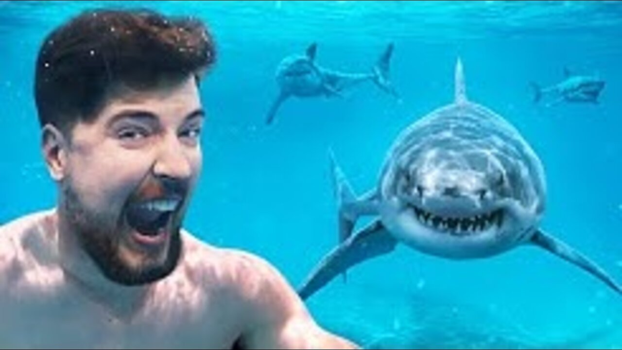 Would You Swim With Sharks For $100,000?