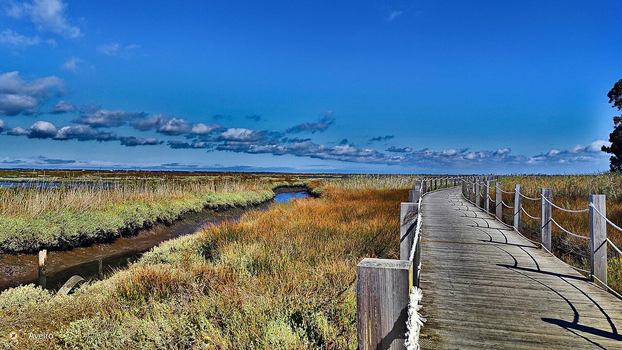 Passadiços ~ Ria de Aveiro ~ Agosto 2023