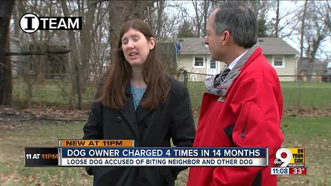 Owner charged 4 times in 14 months for loose dog accused of biting