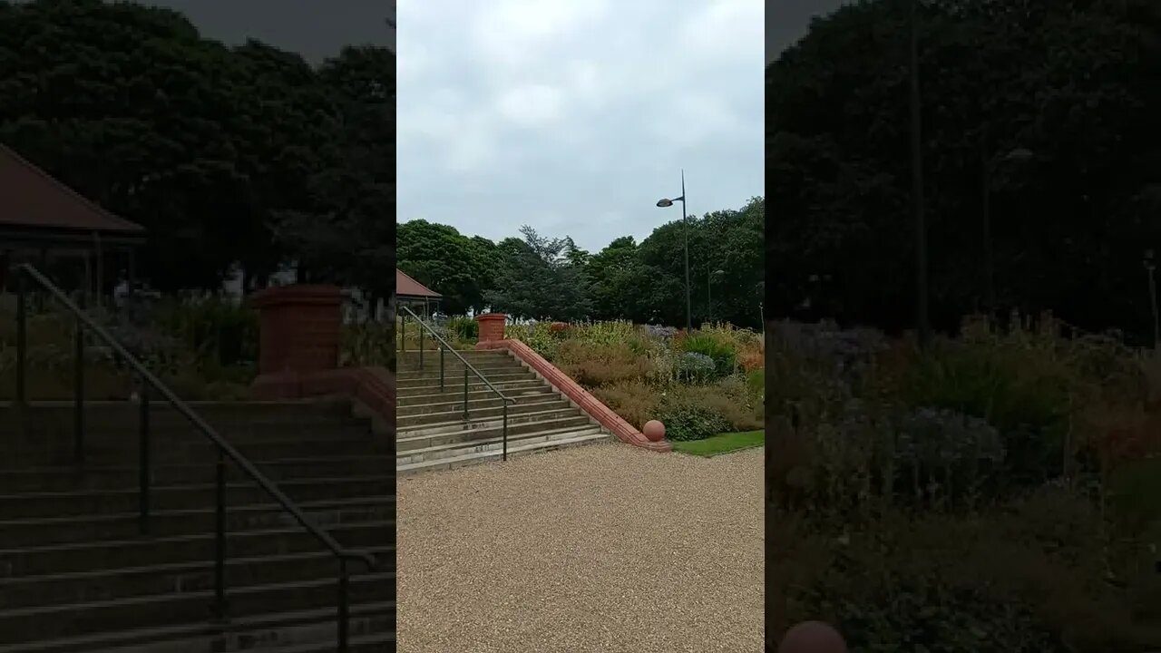 circle views