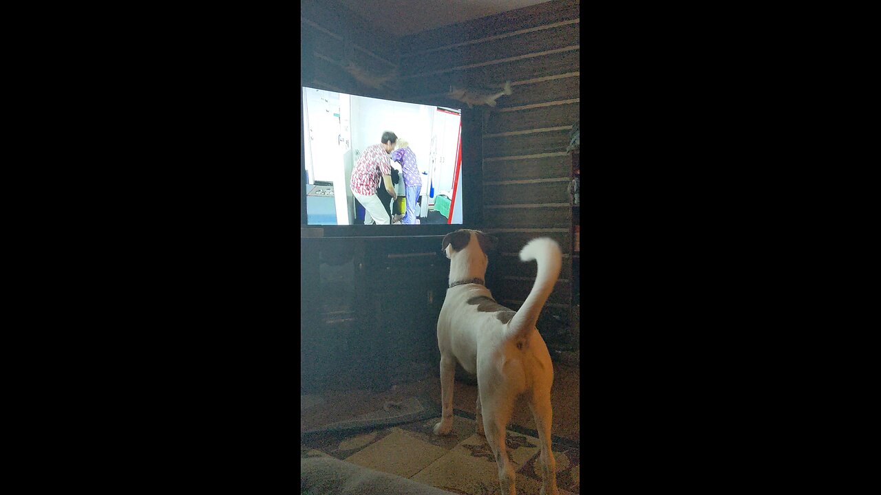 Odin and the scary TV monster
